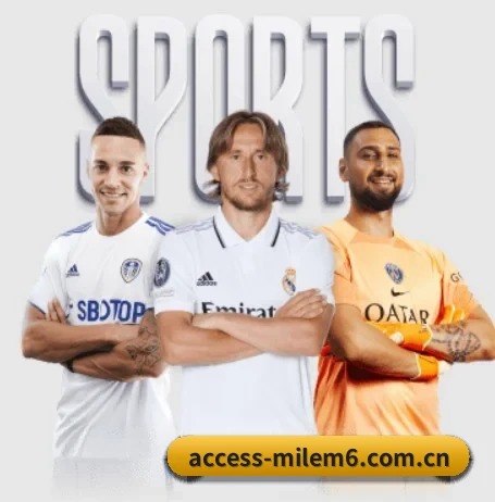 access-milem6.com.cn APP